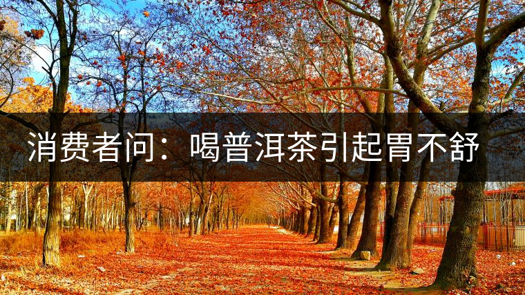 消費者問：喝普洱茶引起胃不舒服怎么辦？