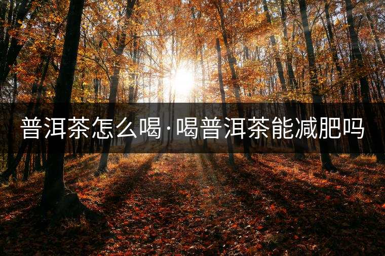 普洱茶怎么喝·喝普洱茶能減肥嗎？