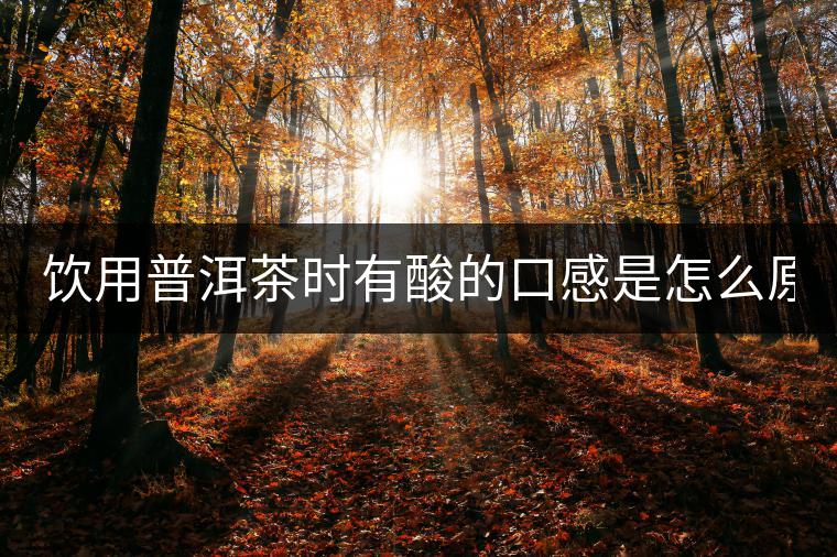 飲用普洱茶時有酸的口感是怎么原因？