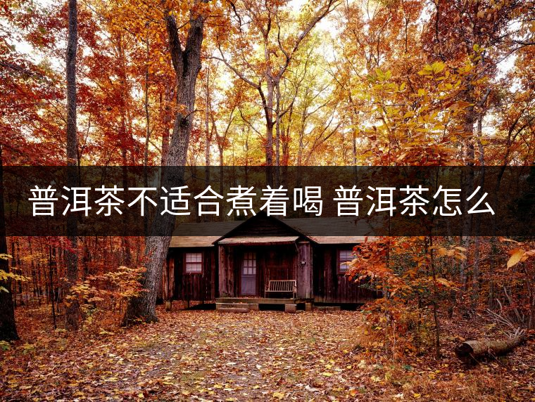 普洱茶不適合煮著喝 普洱茶怎么喝？