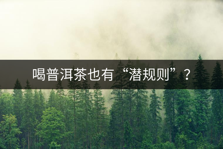 喝普洱茶也有“潛規(guī)則”？