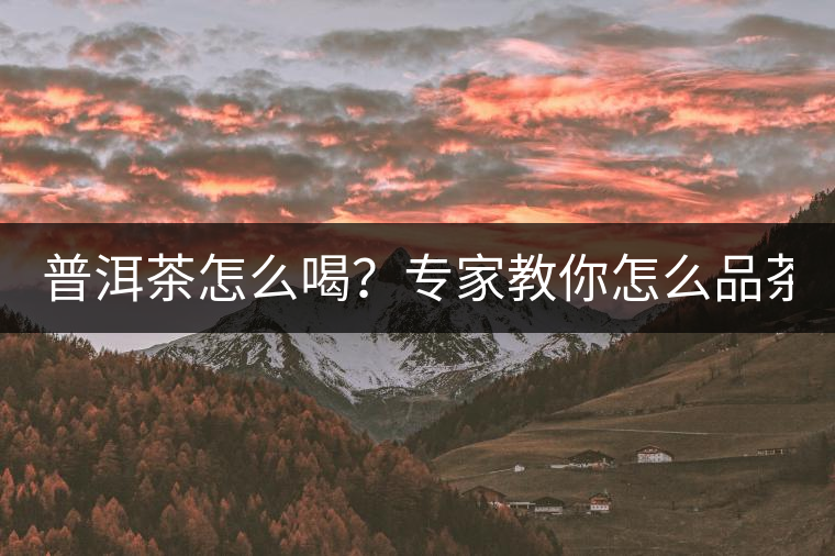 普洱茶怎么喝？專家教你怎么品茶？