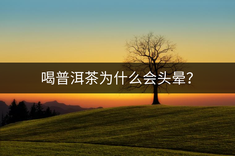 喝普洱茶為什么會(huì)頭暈？