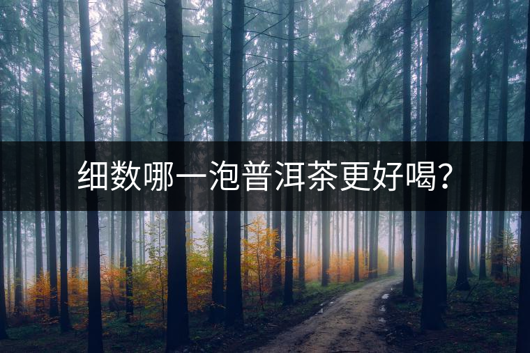 細(xì)數(shù)哪一泡普洱茶更好喝？