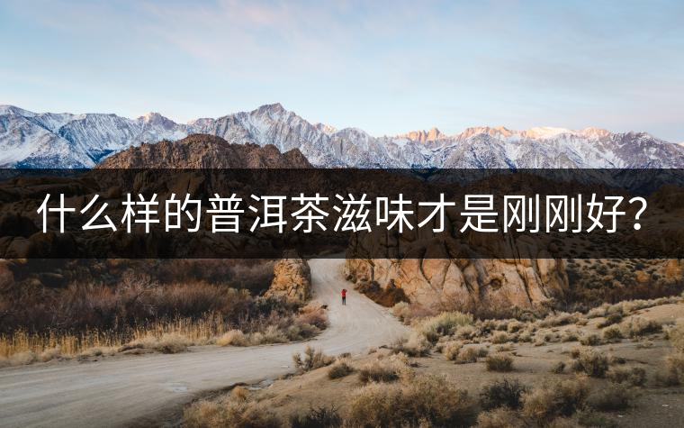 什么樣的普洱茶滋味才是剛剛好？