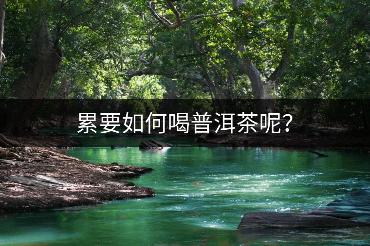 累要如何喝普洱茶呢？