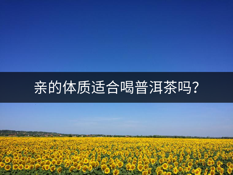 親的體質(zhì)適合喝普洱茶嗎？