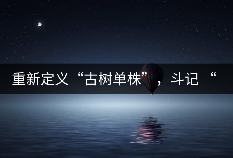 重新定義“古樹單株”，斗記 “超級審評”有償招募告罄在即！