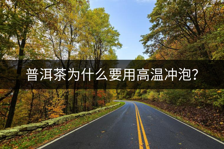 普洱茶為什么要用高溫沖泡？