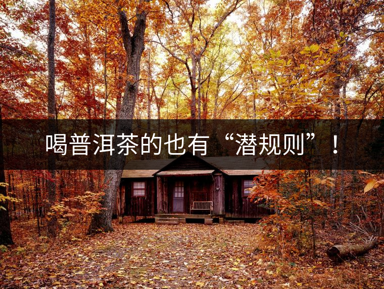 喝普洱茶的也有“潛規(guī)則”！