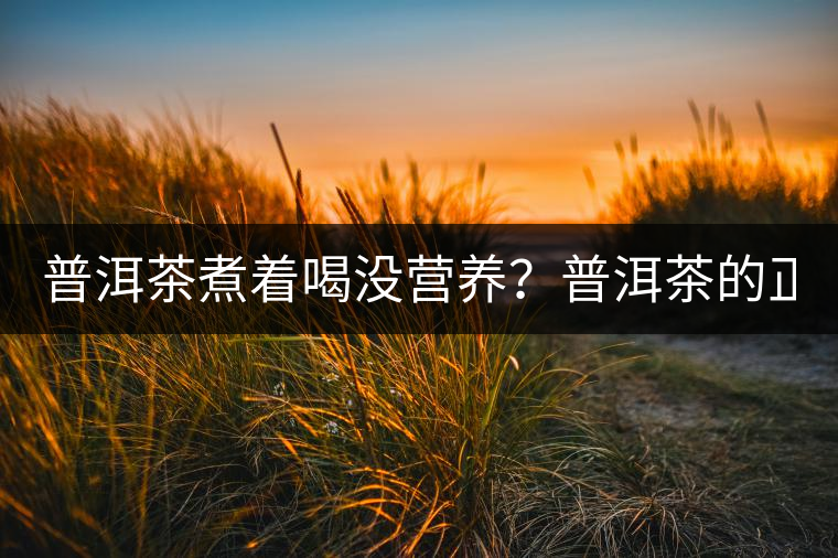 普洱茶煮著喝沒營(yíng)養(yǎng)？普洱茶的正確煮法！