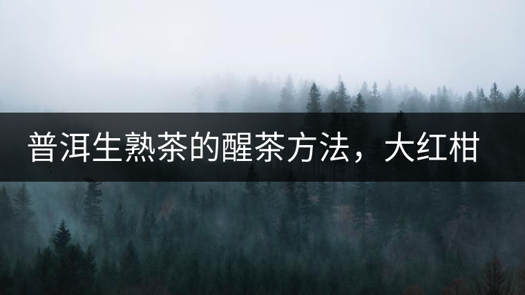 普洱生熟茶的醒茶方法，大紅柑與小青柑對比