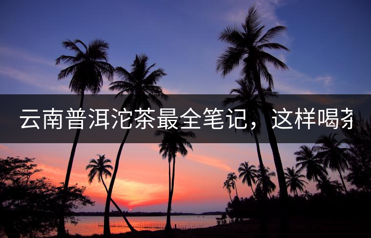 云南普洱沱茶最全筆記，這樣喝茶才更健康！