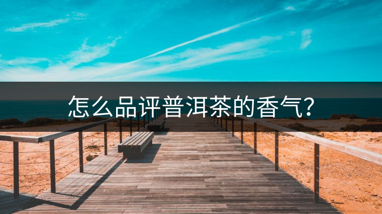 怎么品評(píng)普洱茶的香氣？