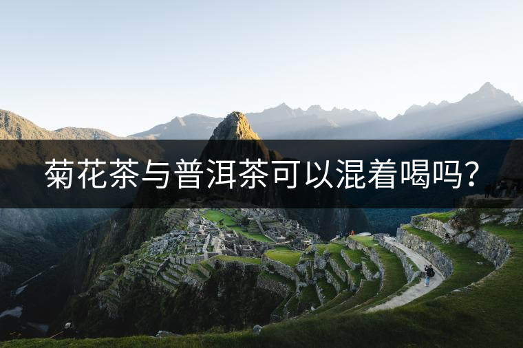 菊花茶與普洱茶可以混著喝嗎？