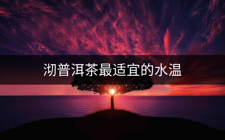 沏普洱茶最適宜的水溫 沏普洱茶最適宜的水溫