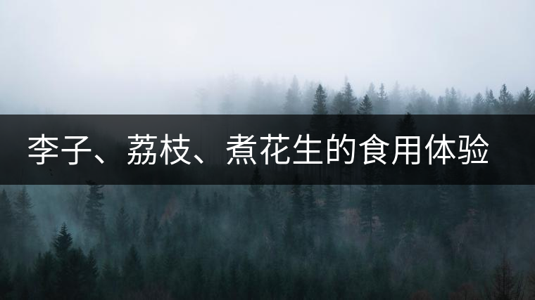 李子、荔枝、煮花生的食用體驗(yàn)來(lái)比對(duì)普洱茶的湯體口感