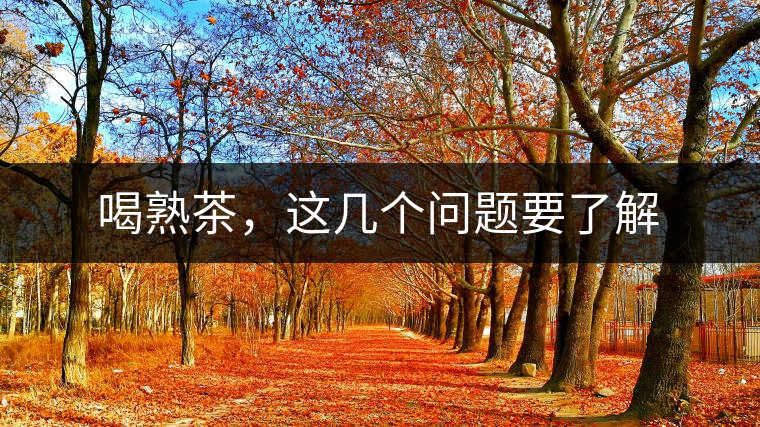 喝熟茶，這幾個(gè)問題要了解