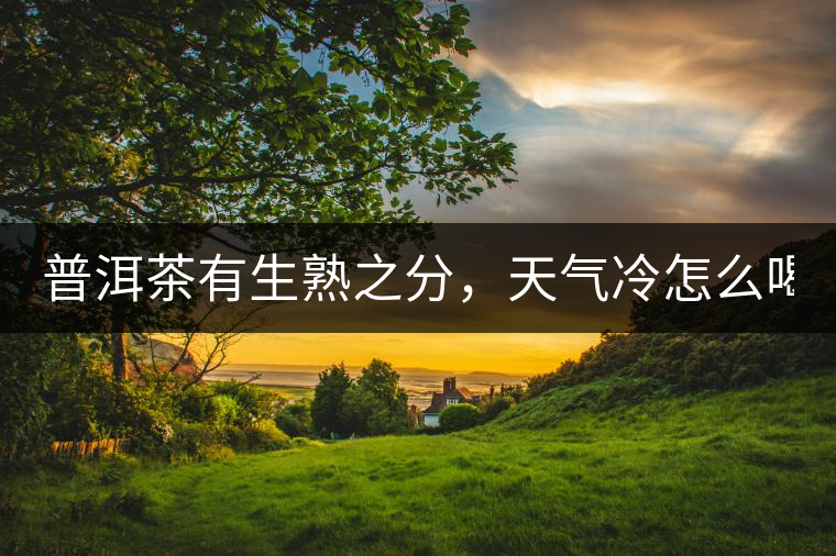 普洱茶有生熟之分，天氣冷怎么喝？