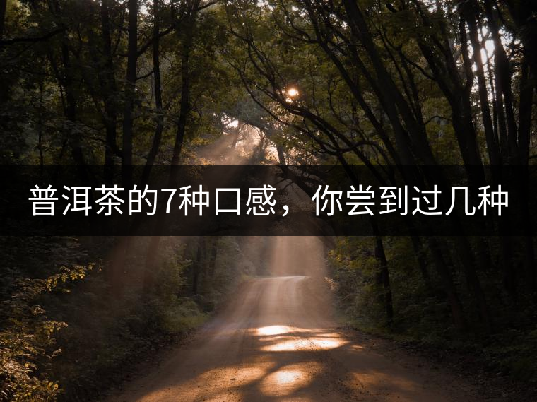 普洱茶的7種口感，你嘗到過幾種？