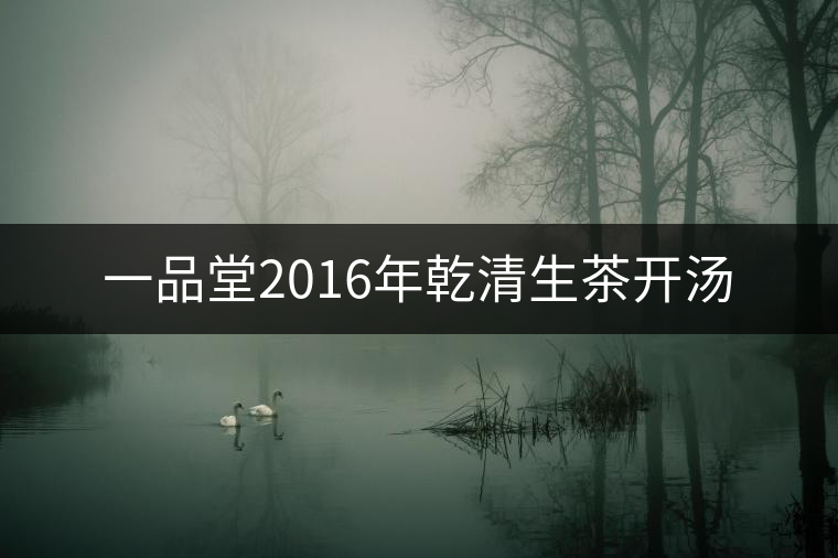 一品堂2016年乾清生茶開(kāi)湯