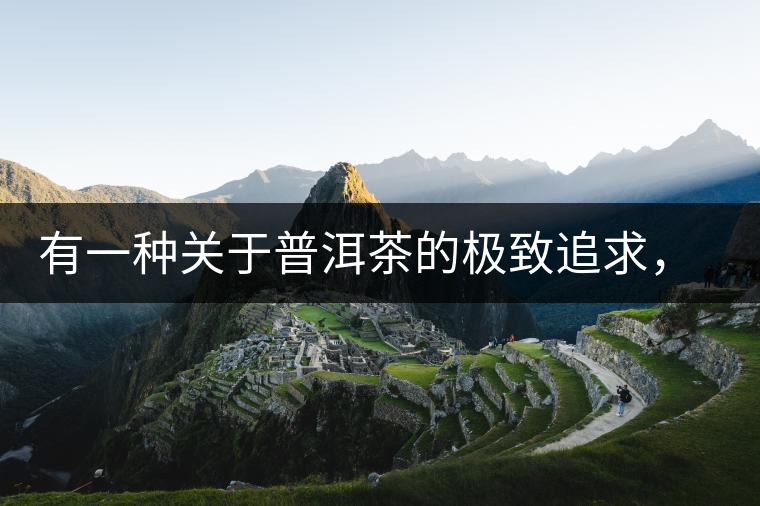 有一種關(guān)于普洱茶的極致追求， 當(dāng)屬于鴻中鴻