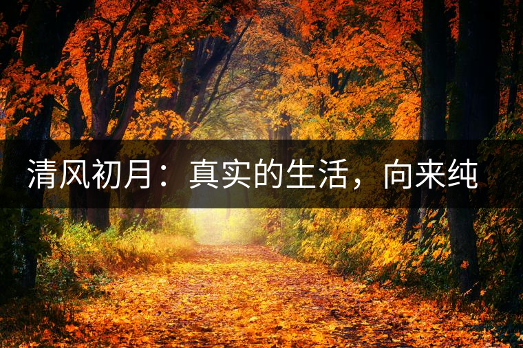 清風(fēng)初月：真實(shí)的生活，向來純簡(jiǎn)