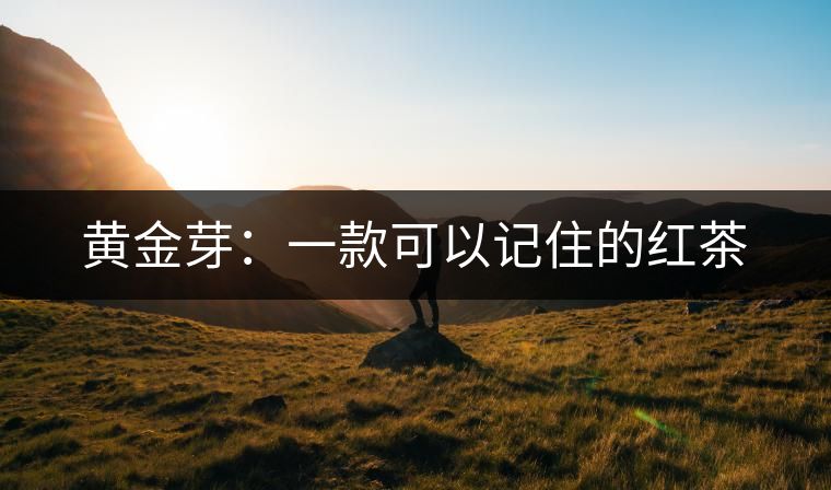 黃金芽:一款可以記住的紅茶 黃金芽:一款可以記住的紅茶