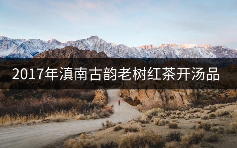 2017年滇南古韻老樹(shù)紅茶開(kāi)湯品鑒