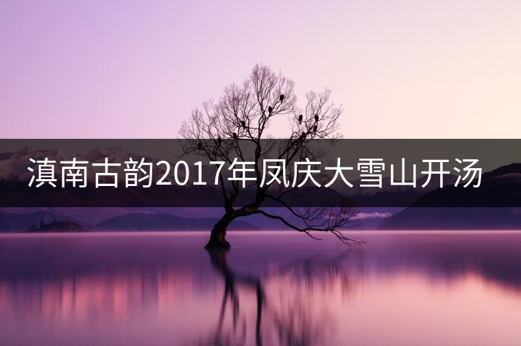 滇南古韻2017年鳳慶大雪山開(kāi)湯品鑒
