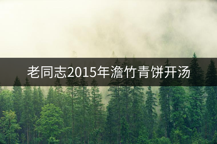 老同志2015年澹竹青餅開湯 老同志2015年澹竹青餅開湯