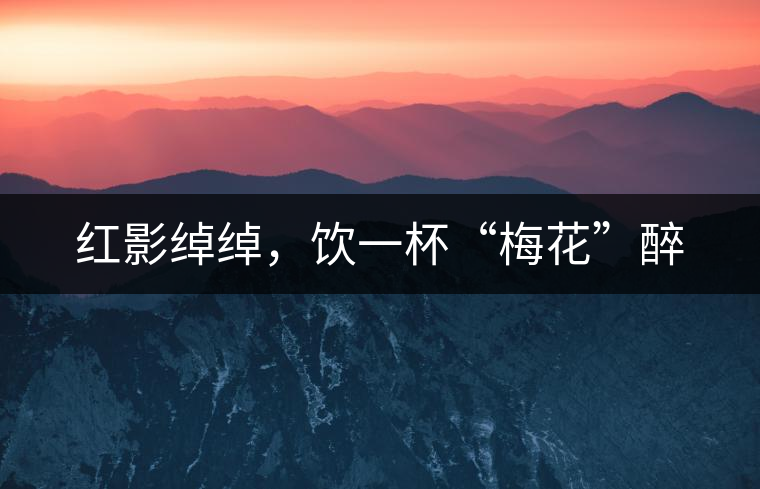 紅影綽綽，飲一杯“梅花”醉