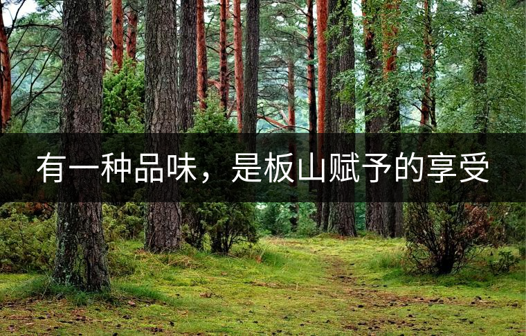 有一種品味，是板山賦予的享受