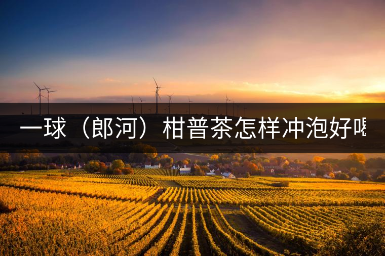 一球（郎河）柑普茶怎樣沖泡好喝？