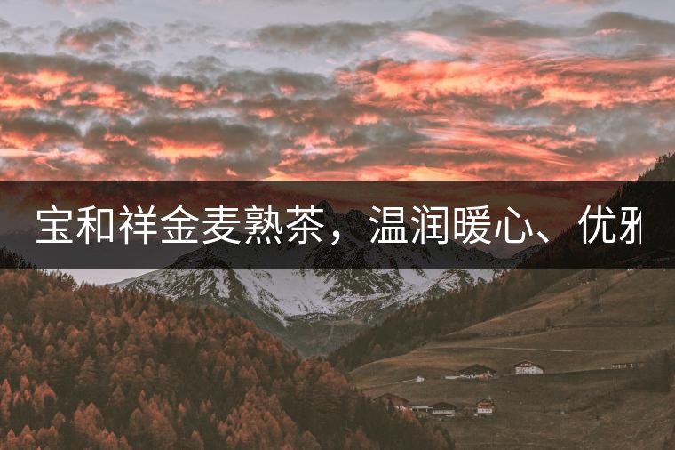 寶和祥金麥熟茶，溫潤暖心、優(yōu)雅迷人。