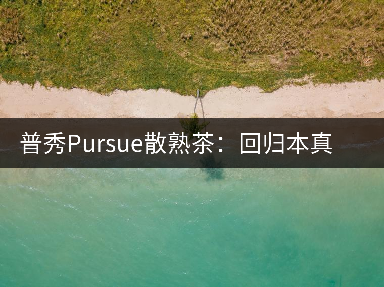 普秀Pursue散熟茶：回歸本真，一款高性?xún)r(jià)比口糧散熟茶