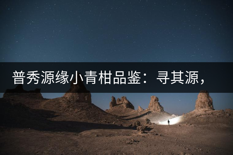 普秀源緣小青柑品鑒：尋其源，續(xù)柑與茶的美好緣分