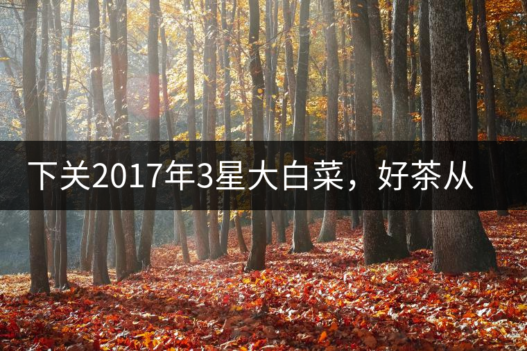 下關(guān)2017年3星大白菜，好茶從未中斷