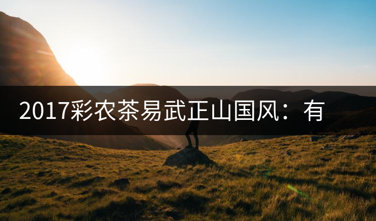 2017彩農(nóng)茶易武正山國(guó)風(fēng)：有茶韻，亦有國(guó)風(fēng)