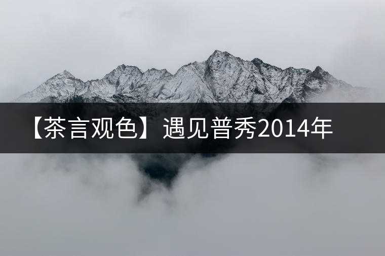 【茶言觀色】遇見(jiàn)普秀2014年金地茶磚