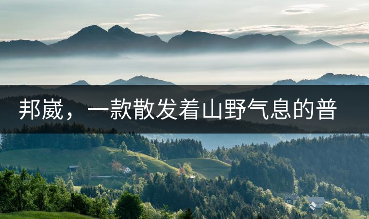 邦崴，一款散發(fā)著山野氣息的普洱