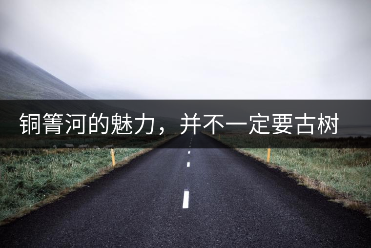 銅箐河的魅力，并不一定要古樹來體現(xiàn)