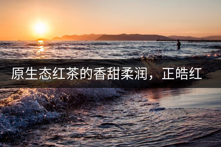 原生態(tài)紅茶的香甜柔潤，正皓紅的魅力無可抵擋！