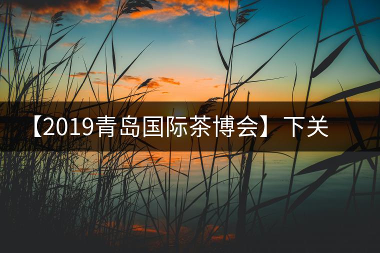 【2019青島國際茶博會】下關(guān)沱茶攜新品C位亮相！