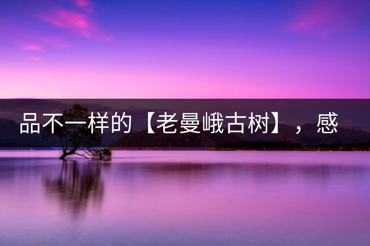 品不一樣的【老曼峨古樹】，感受別樣甘甜與溫婉