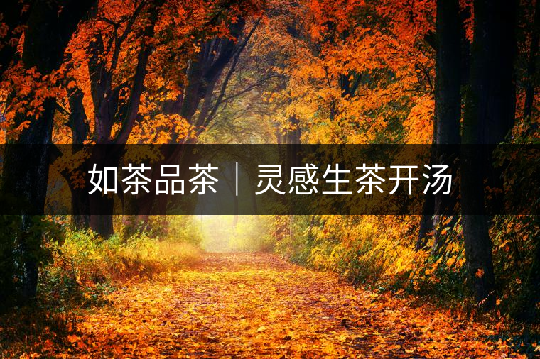 如茶品茶|靈感生茶開(kāi)湯 如茶品茶|靈感生茶開(kāi)湯