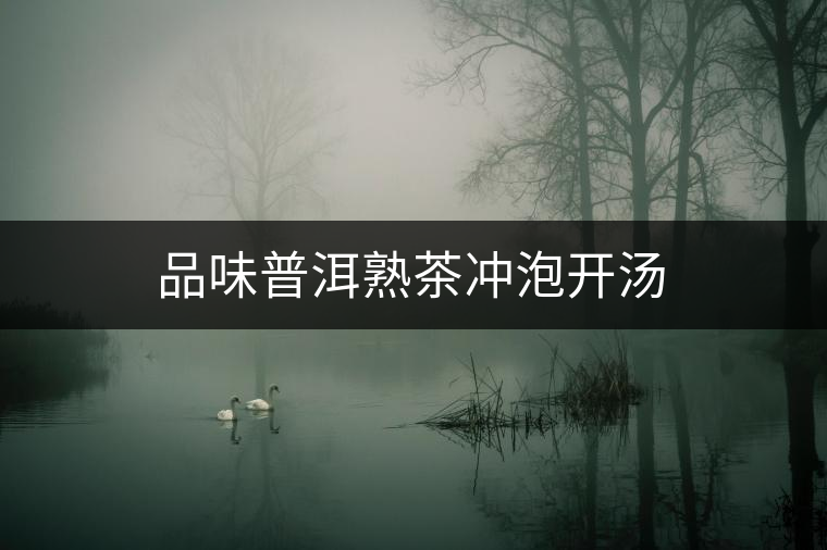 品味普洱熟茶沖泡開(kāi)湯