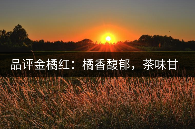 品評(píng)金橘紅：橘香馥郁，茶味甘醇，匠心拼配，臻于至善