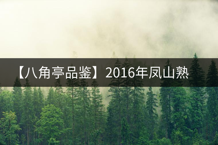 【八角亭品鑒】2016年鳳山熟茶