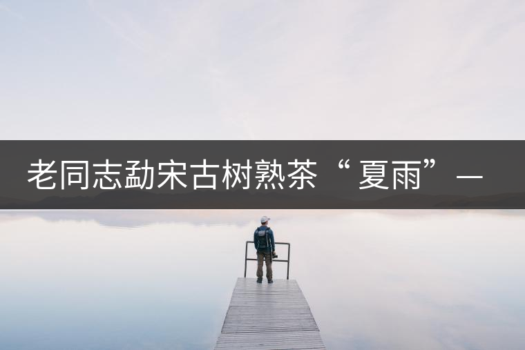 老同志勐宋古樹熟茶“ 夏雨”— 飲茶伴夏，只為您！